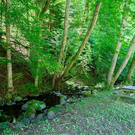 Horská chata 'la Foret Enchantee', Nature, Calme Et Jacuzzi Au Coeur De La Vallee Masevaux-Niederbruck